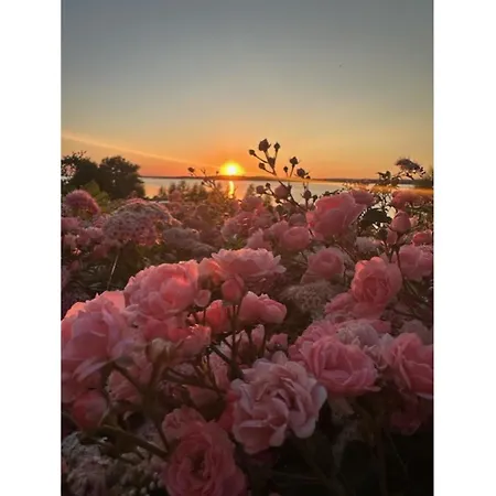 別荘 Strandhaus Am Hoeft - Exklusiver Privatstrand Vor Dem Haus *