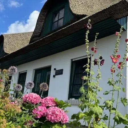 Strandhaus Am Hoeft - Exklusiver Privatstrand Vor Dem Haus * Gager